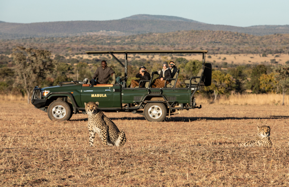 Lions cricket